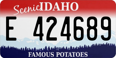 ID license plate E424689