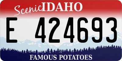 ID license plate E424693
