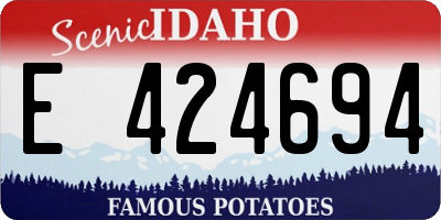 ID license plate E424694