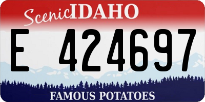 ID license plate E424697
