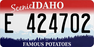 ID license plate E424702