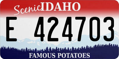 ID license plate E424703