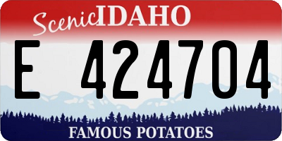 ID license plate E424704
