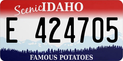 ID license plate E424705