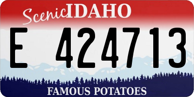 ID license plate E424713