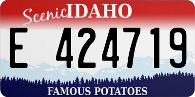 ID license plate E424719