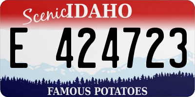 ID license plate E424723