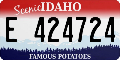 ID license plate E424724