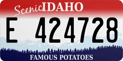 ID license plate E424728