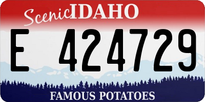 ID license plate E424729