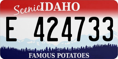 ID license plate E424733