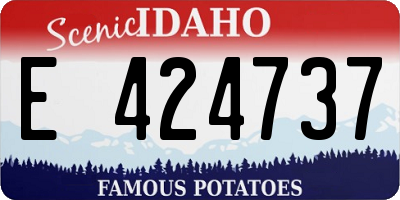 ID license plate E424737