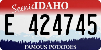 ID license plate E424745