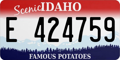 ID license plate E424759