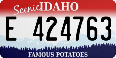 ID license plate E424763