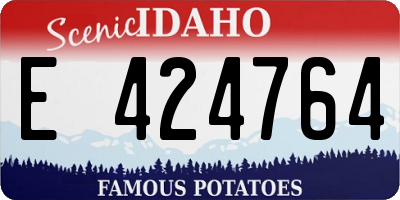 ID license plate E424764