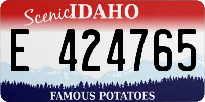 ID license plate E424765