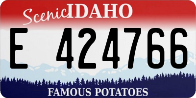 ID license plate E424766
