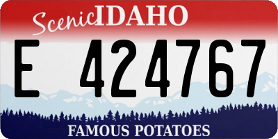 ID license plate E424767