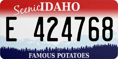 ID license plate E424768