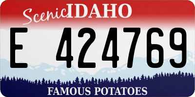 ID license plate E424769