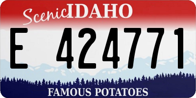 ID license plate E424771