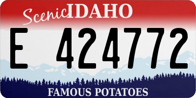 ID license plate E424772