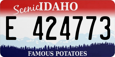 ID license plate E424773