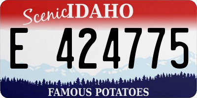 ID license plate E424775