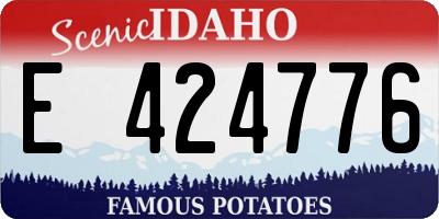 ID license plate E424776
