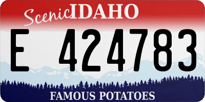 ID license plate E424783