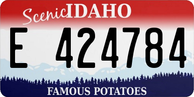 ID license plate E424784