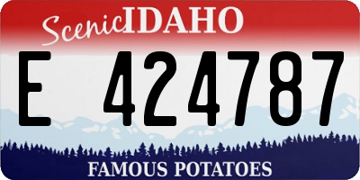 ID license plate E424787