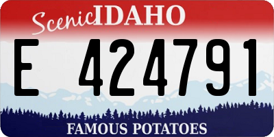 ID license plate E424791
