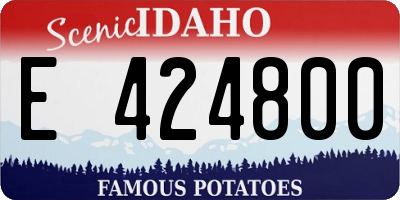ID license plate E424800