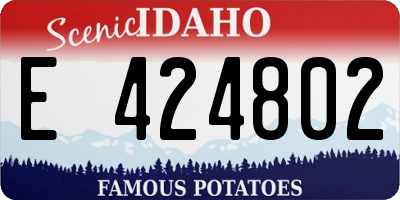 ID license plate E424802