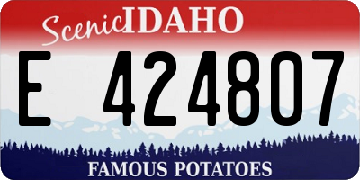 ID license plate E424807