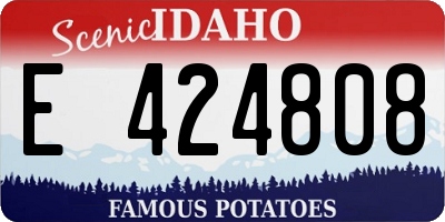 ID license plate E424808