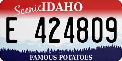 ID license plate E424809