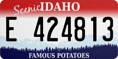 ID license plate E424813