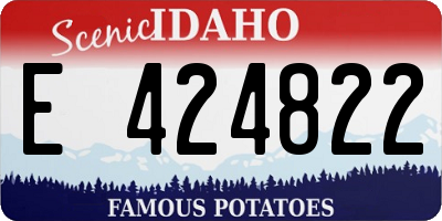 ID license plate E424822
