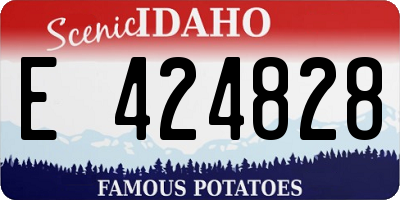 ID license plate E424828