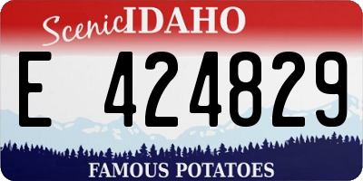 ID license plate E424829