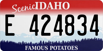 ID license plate E424834
