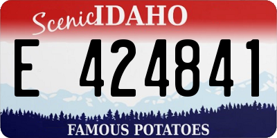 ID license plate E424841