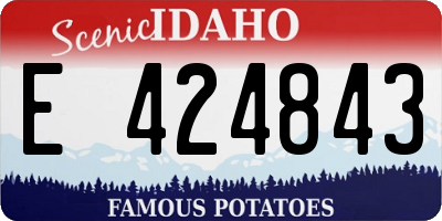 ID license plate E424843