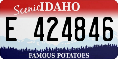 ID license plate E424846
