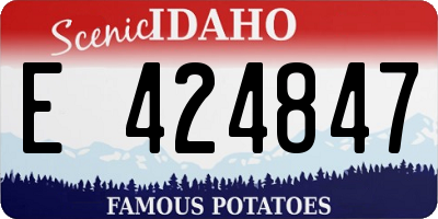 ID license plate E424847