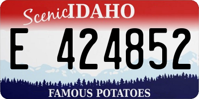 ID license plate E424852