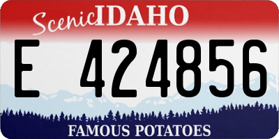 ID license plate E424856